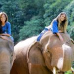 An Unforgettable Experience at the Golden Triangle Elephant Reserve