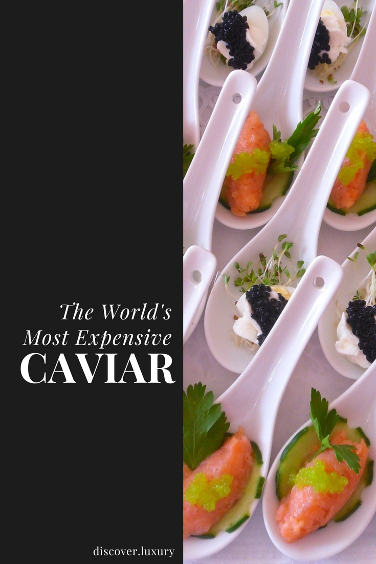 The World's Most Expensive Caviar