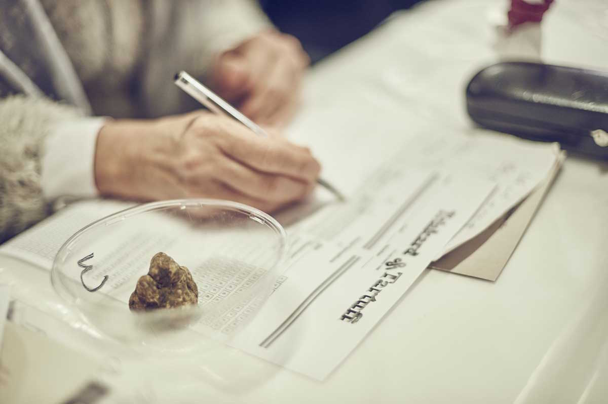 Why the International Alba White Truffle Fair is a Must for Foodies