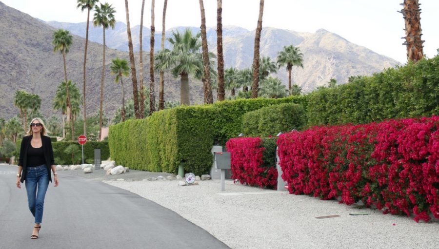 Your Guide to Palm Springs from Kristen Taekman