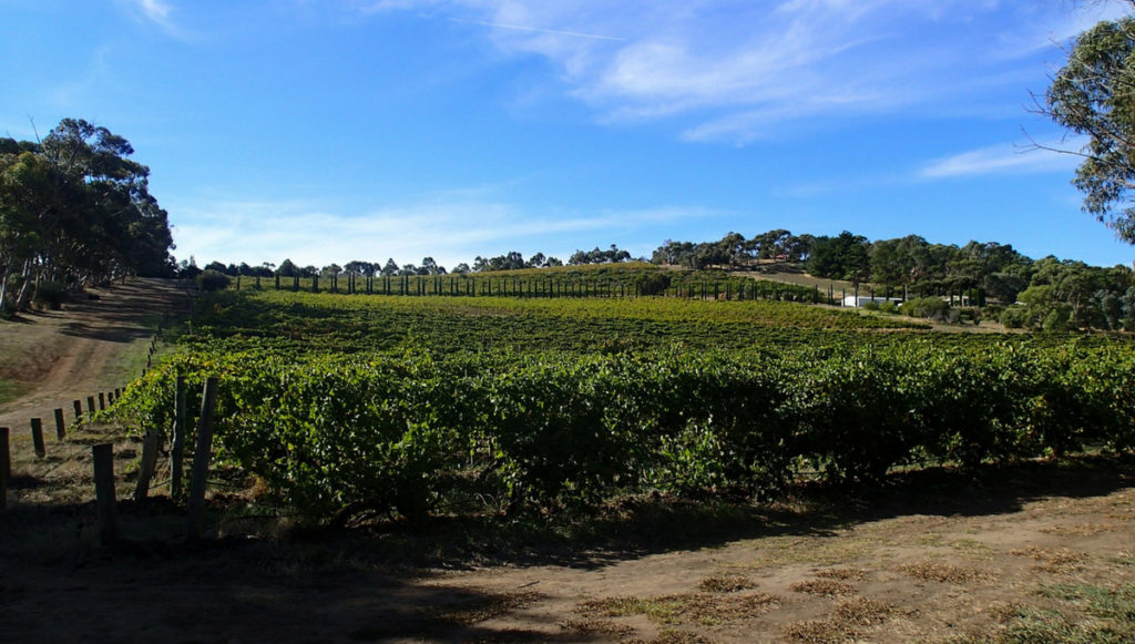 The Best Wines and Wineries in Australia
