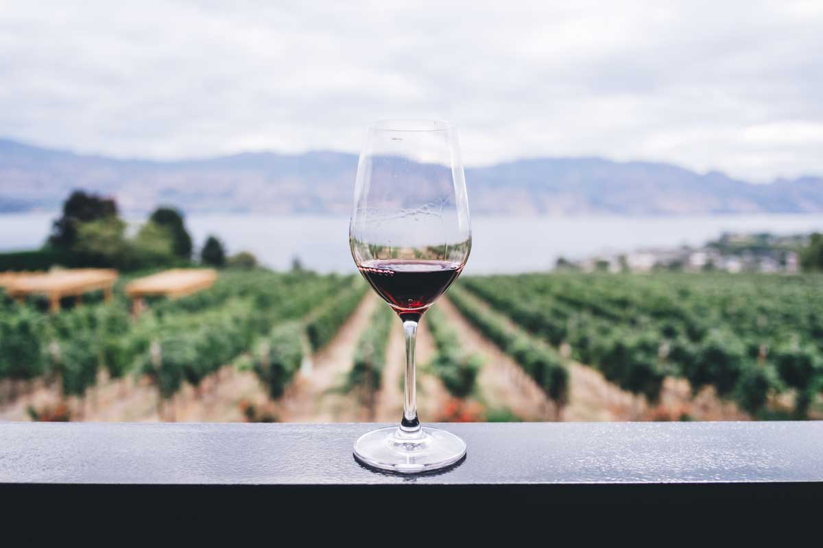 The Best Wines and Wineries in Australia Shiraz