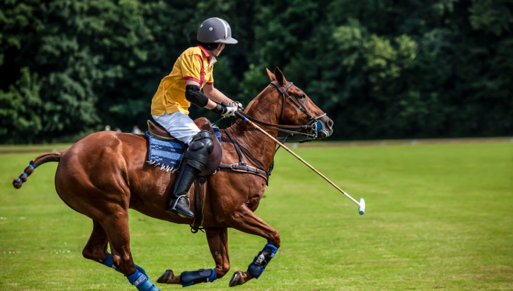 The 7 Top Polo Tournaments in The World