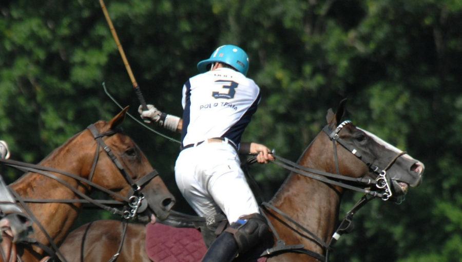 This Year’s 10 Top Polo Players