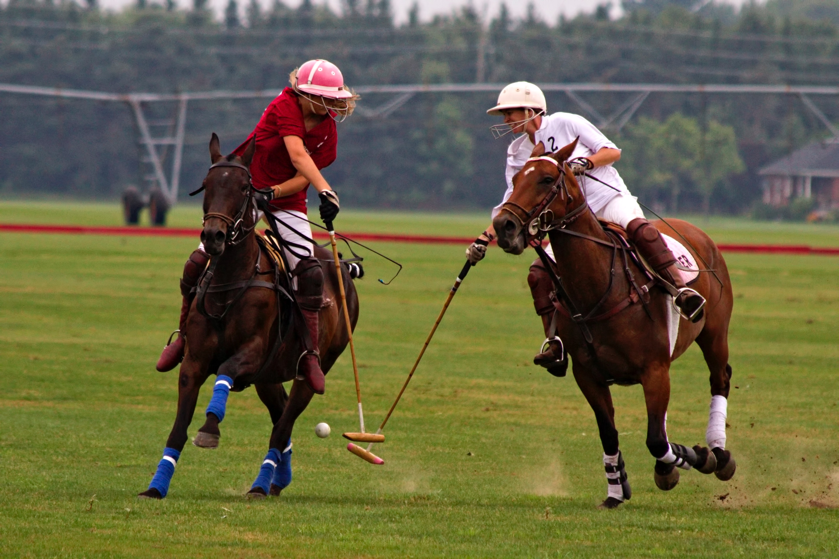 Top Polo Players 2018 Mens Division