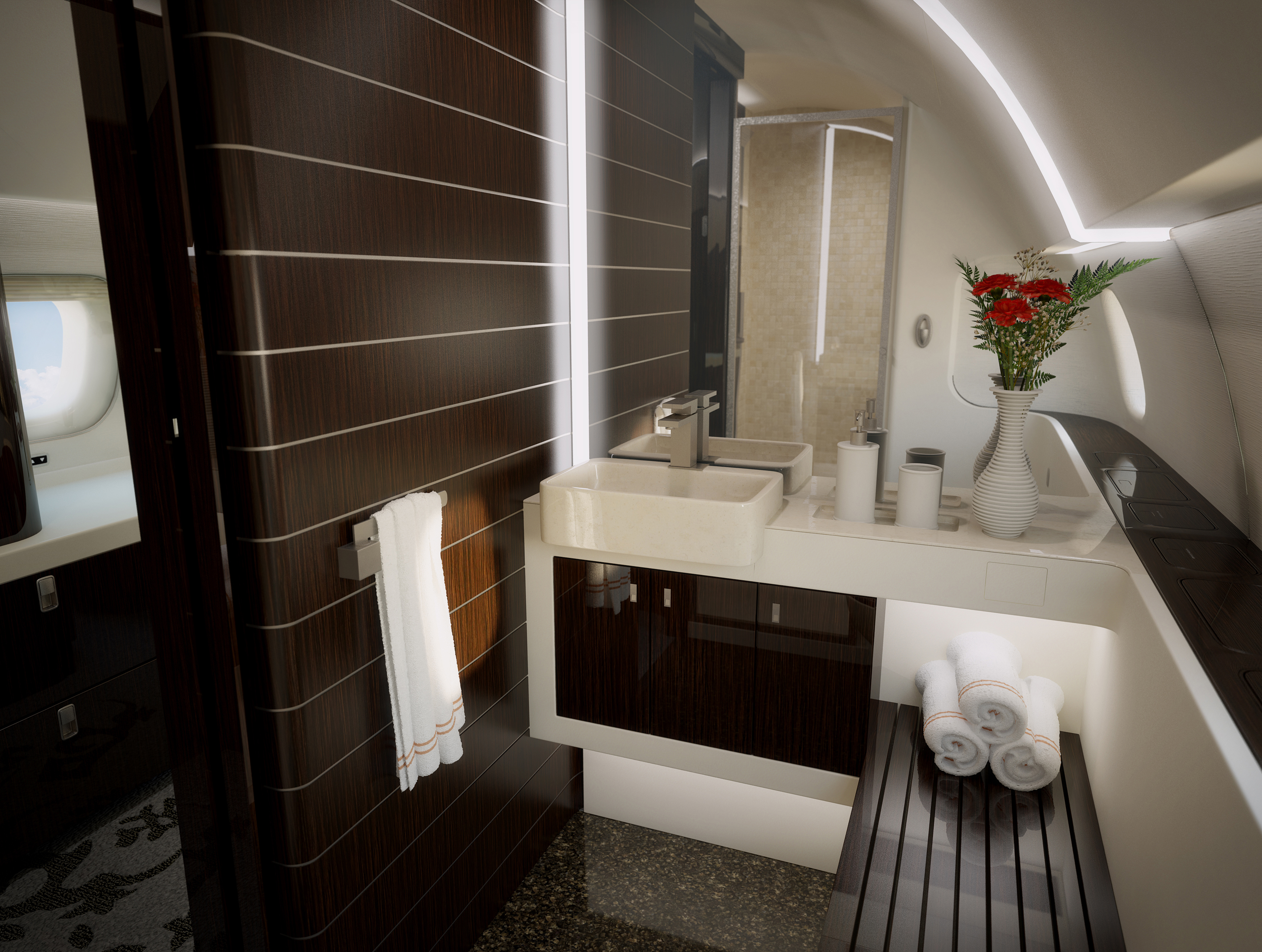 Bathroom on an Embraer Lineage 1000E A Look Inside Luxury Planes