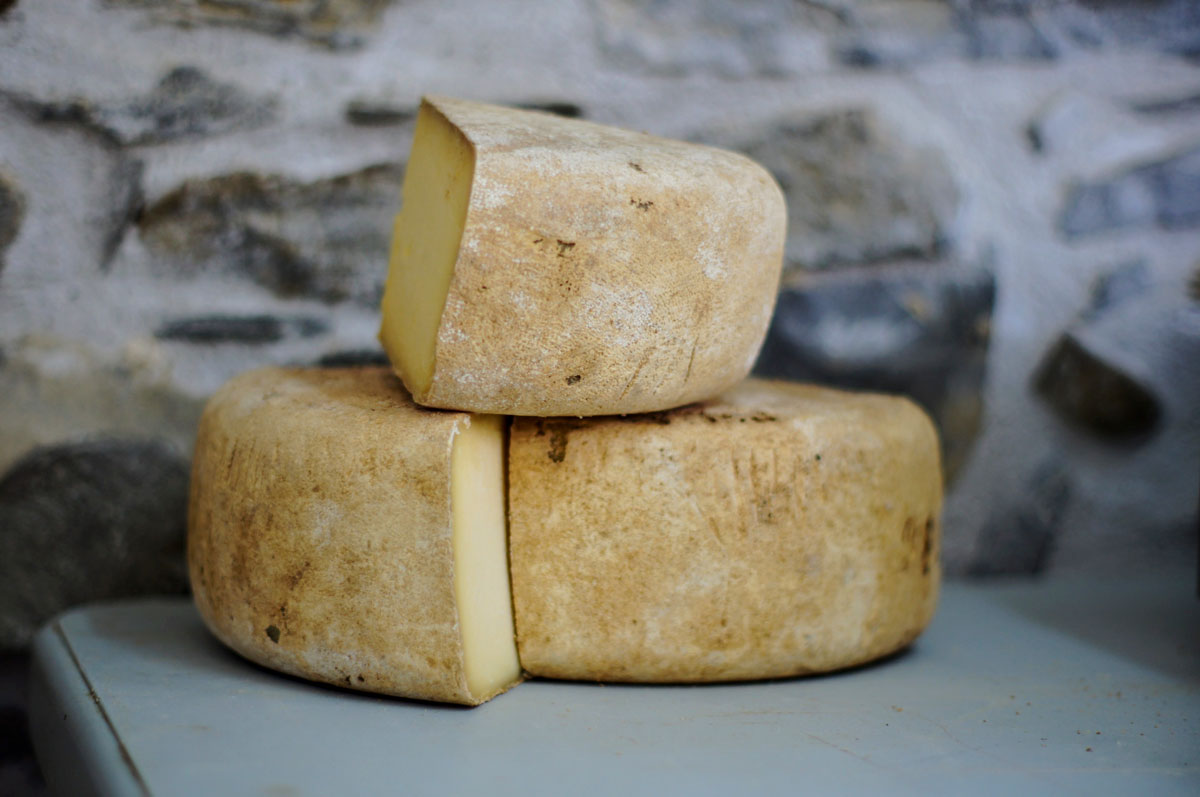 Párování sýra se skotskou Jak pít skotskou: Nejlepší párování s jídlem