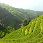 A Travel Guide to The Banuae Rice Terraces