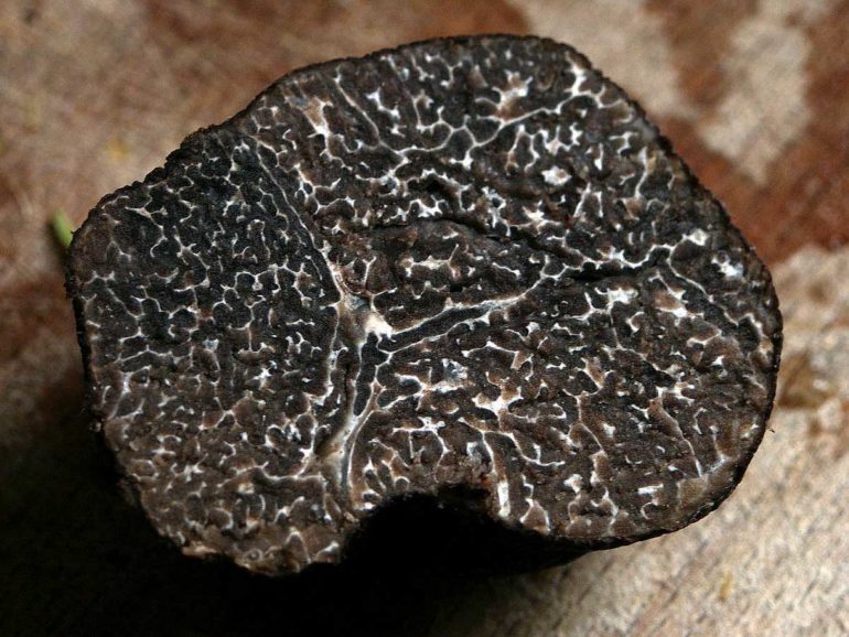 black-truffle-770x578.jpg