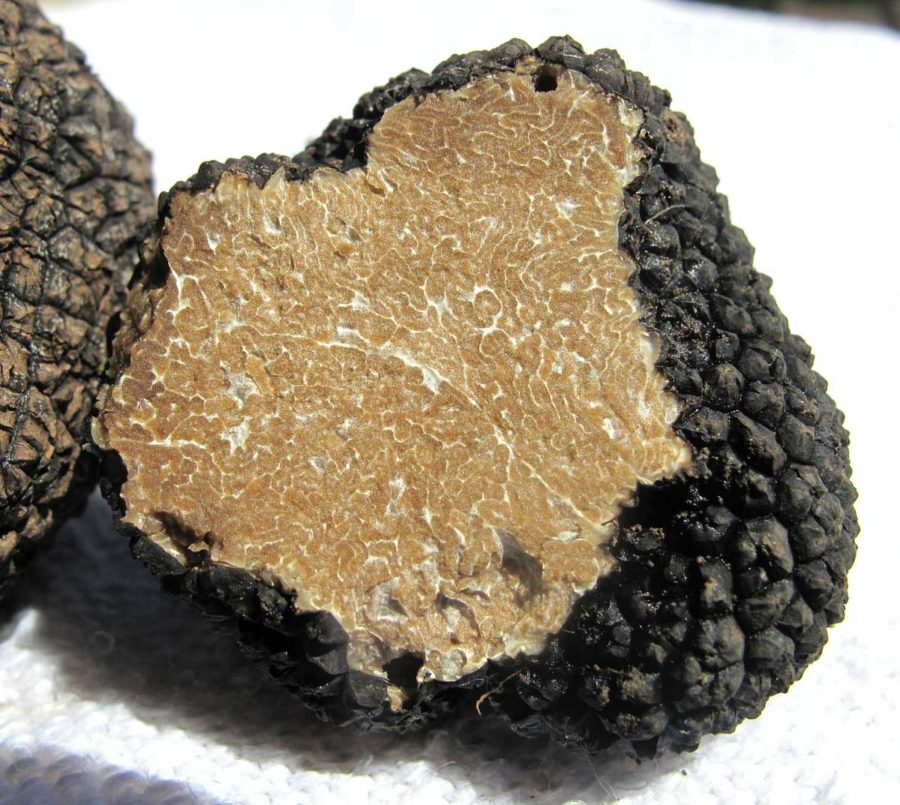 Black Truffles: The Best Places in the World to Enjoy This Delicacy ...