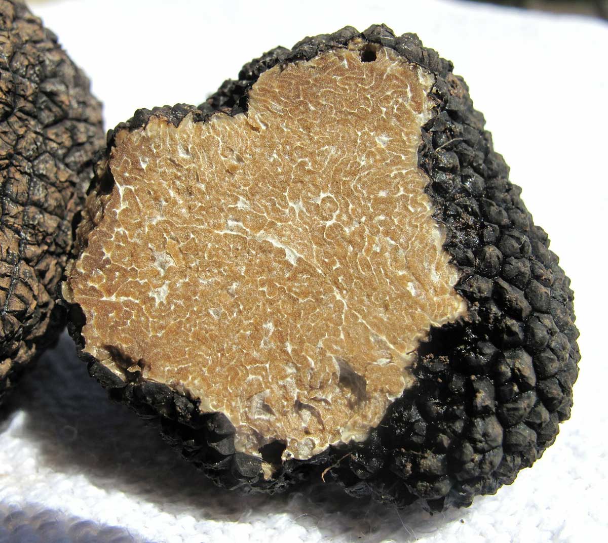 Bartolotta's Lake Park Bistro Meal with Black Truffles: The Best Places in the World to Enjoy This Delicacy