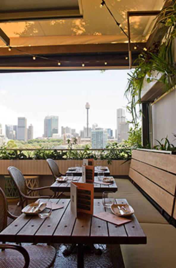 restaurants near w sydney hotel