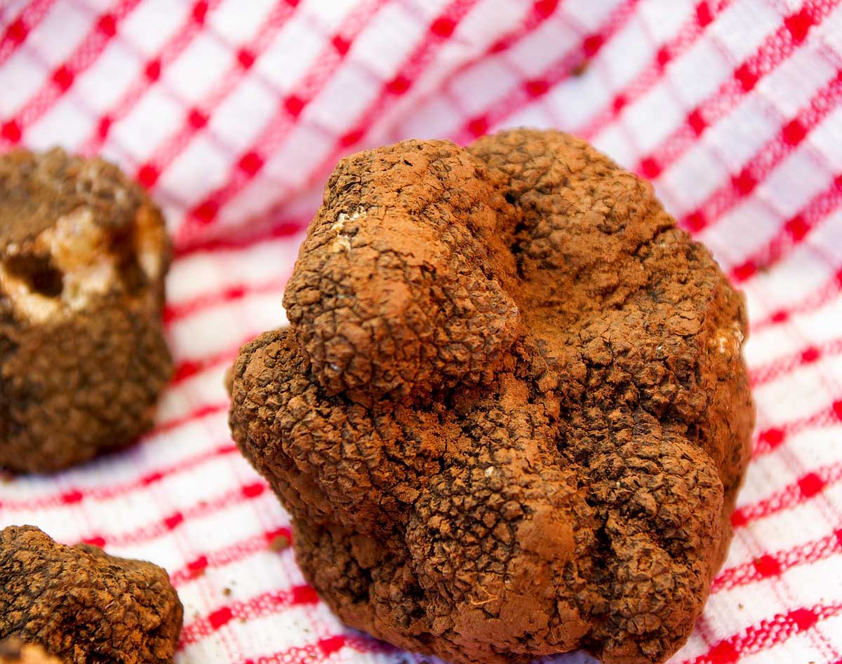 La Toque Napa Valley Black Truffles: The Best Places in the World to Enjoy This Delicacy